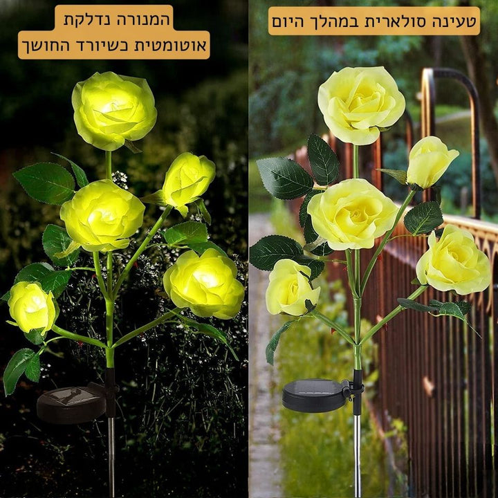 תאורת חמשת הורדים הסולארית | אודמלו ישראל