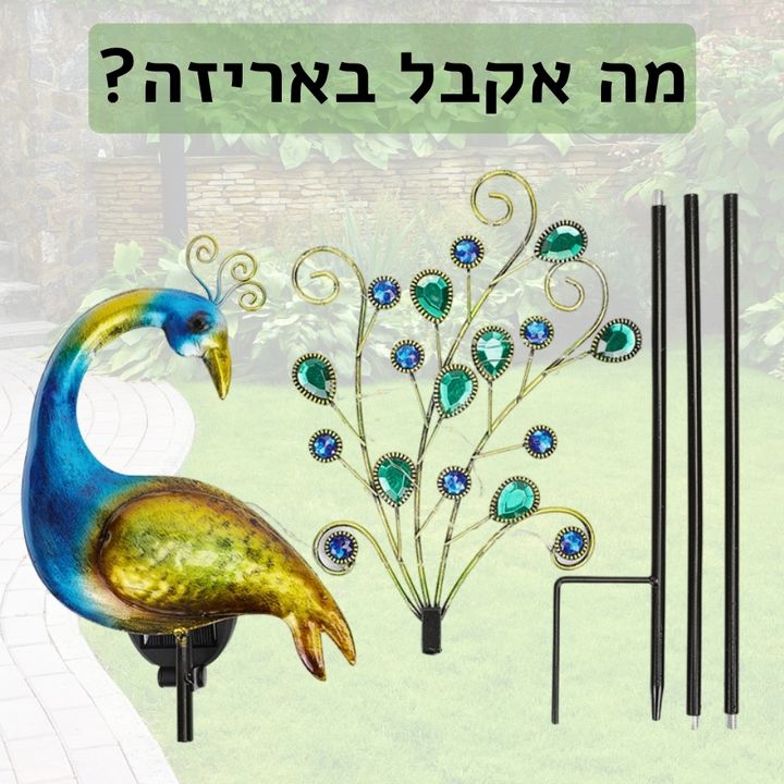 מנורת הטווס הסולארית | אודמלו ישראל