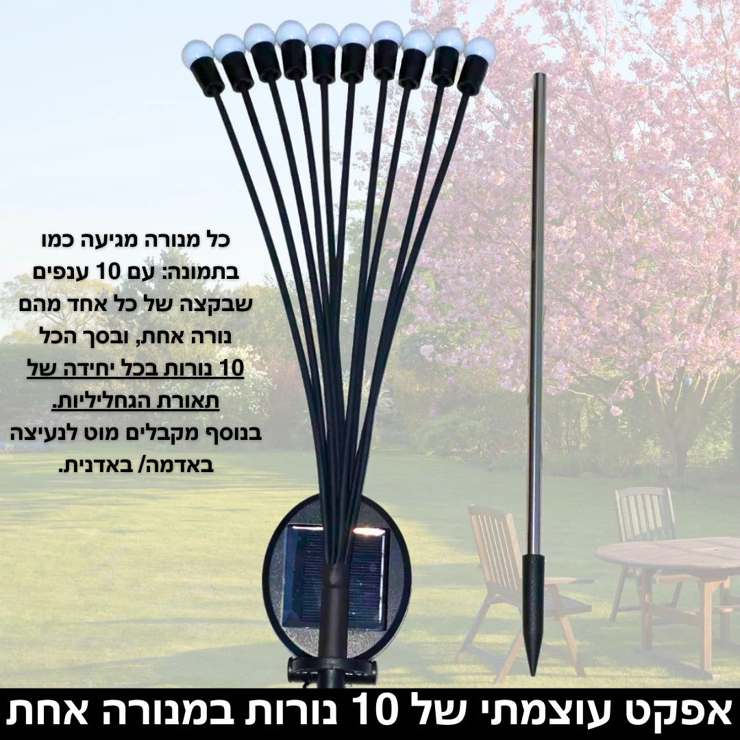 תאורת הגחליליות הסולארית | אודמלו ישראל