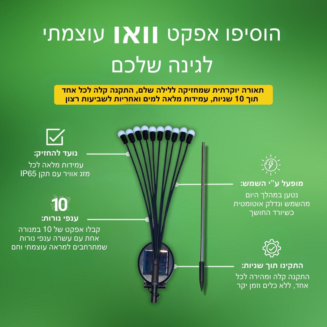 תאורת הגחליליות הסולארית | אודמלו ישראל